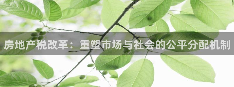 7牌摩登：房地产税改革：重塑市场与社会的公平分配机制