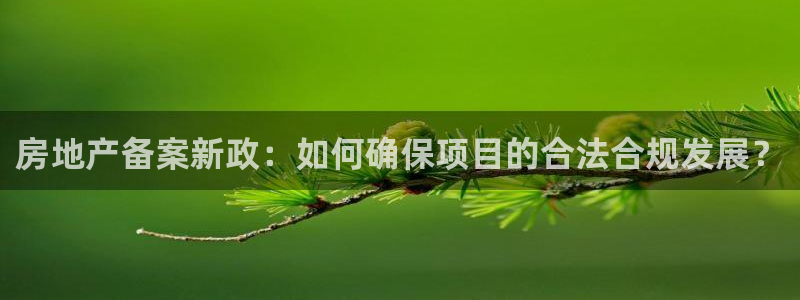 摩登7上级：房地产备案新政：如何确保项目的合法合规发展？