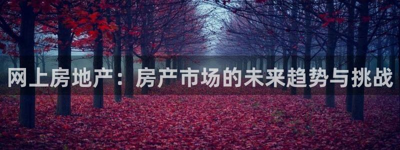 摩登7平台网址：网上房地产：房产市场的未来趋势与挑战