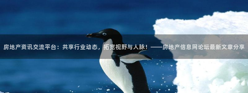 摩登5韩这7O667：房地产资讯交流平台：共享行业动态，拓宽