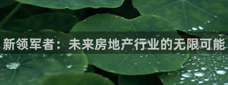 摩登7注册qv382223：新领军者：未来房地产行业的无限可