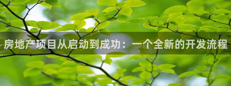 摩登7注册路333OO：房地产项目从启动到成功：一个全新的开