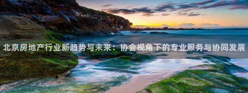 摩登7招商382223：北京房地产行业新趋势与未来：协会视角
