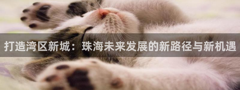 摩登5冯7O667：打造湾区新城：珠海未来发展的新路径与新机