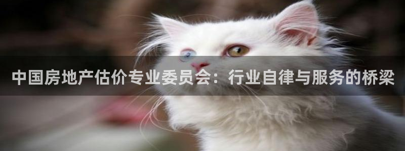 摩登7注册账号：中国房地产估价专业委员会：行业自律与服务的桥