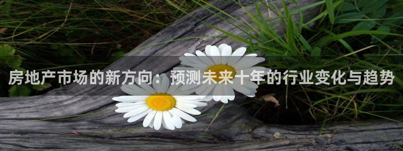 摩登3郑7O667：房地产市场的新方向：预测未来十年的行业变