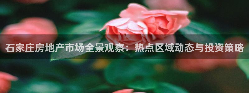 摩登7左3299O7：石家庄房地产市场全景观察：热点区域动态