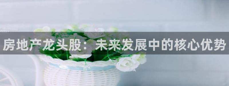 猎杰集团摩登7：房地产龙头股：未来发展中的核心优势