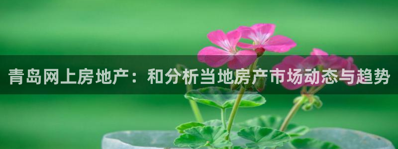 摩登7官方联系方式：青岛网上房地产：和分析当地房产市场动态与