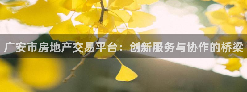 摩登7app网址下载：广安市房地产交易平台：创新服务与协作的