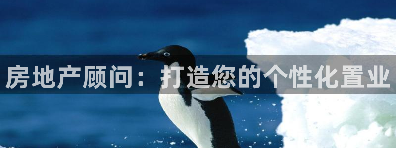 摩登7左3299O7：房地产顾问：打造您的个性化置业