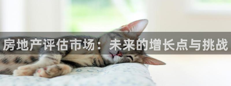 摩登7登录脱333OO：房地产评估市场：未来的增长点与挑战