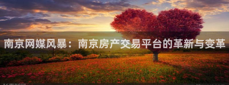 摩登天空7：南京网媒风暴：南京房产交易平台的革新与变革