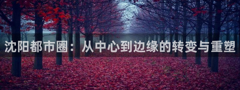 摩登7登录奥333OO：沈阳都市圈：从中心到边缘的转变与重塑