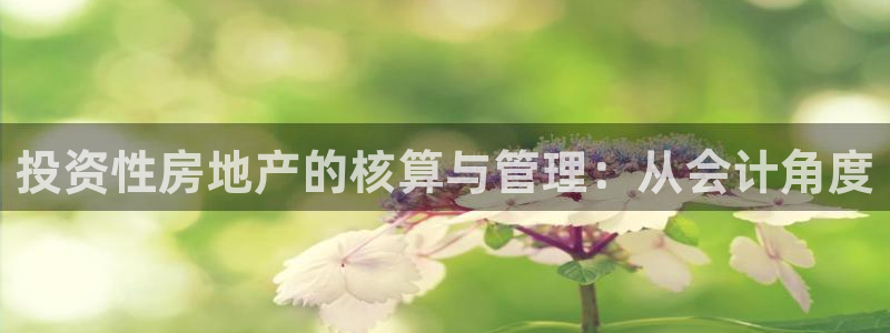 摩登6冯这7O667：投资性房地产的核算与管理：从会计角度