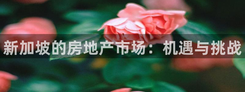 摩登7楼：新加坡的房地产市场：机遇与挑战