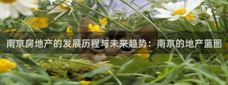 摩登7注册页面：南京房地产的发展历程与未来趋势：南京的地产蓝