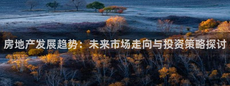 摩登7平台诈骗：房地产发展趋势：未来市场走向与投资策略探讨