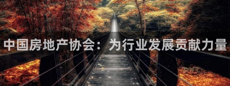 摩登4左7O667：中国房地产协会：为行业发展贡献力量