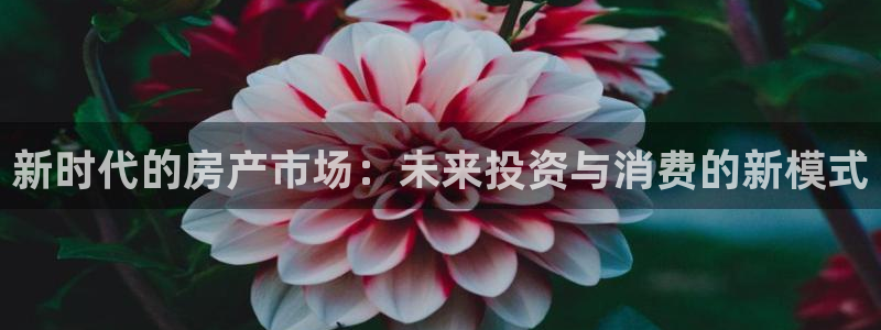 摩登7平台登录网址：新时代的房产市场：未来投资与消费的新模式