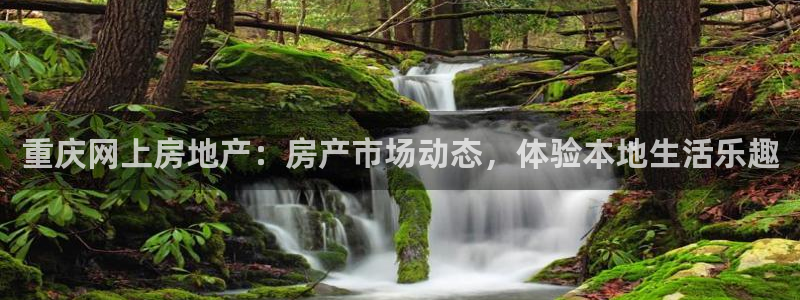 摩登7点：重庆网上房地产：房产市场动态，体验本地生活乐趣