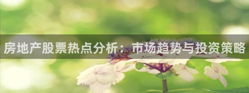 摩登3右7O667：房地产股票热点分析：市场趋势与投资策略