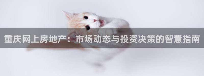 摩登招商7佳22650：重庆网上房地产：市场动态与投资决策的