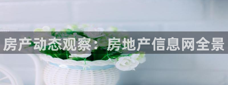 摩登7日3299O7：房产动态观察：房地产信息网全景