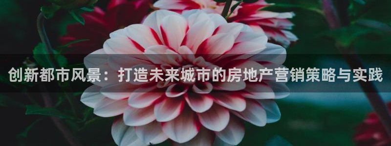 摩登4左7O667：创新都市风景：打造未来城市的房地产营销策