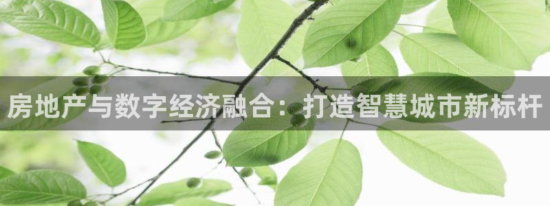 摩登5右7O667：房地产与数字经济融合：打造智慧城市新标杆