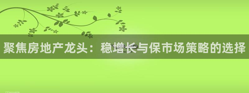 摩登7注册qv382223：聚焦房地产龙头：稳增长与保市场策