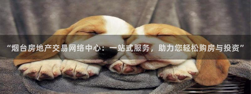 摩登5张7O667：“烟台房地产交易网络中心：一站式服务，助