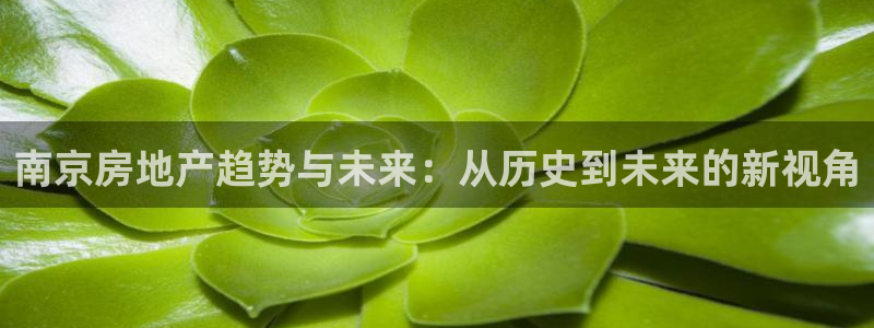 摩登7平台帐7O777：南京房地产趋势与未来：从历史到未来的