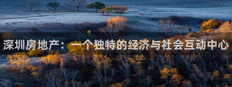 摩登7登录入口：深圳房地产：一个独特的经济与社会互动中心