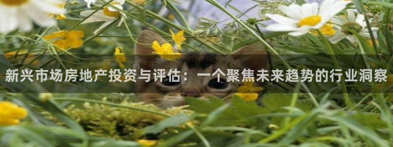 摩登7登陆：新兴市场房地产投资与评估：一个聚焦未来趋势的行业