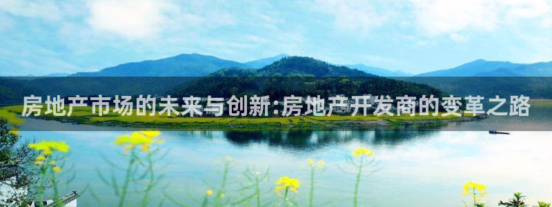 摩登7上3299O7：房地产市场的未来与创新:房地产开发商的