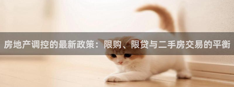 摩登7挂机：房地产调控的最新政策：限购、限贷与二手房交易的平