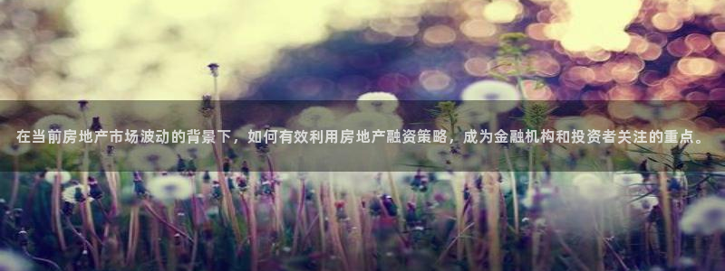 摩登7登录释333OO：在当前房地产市场波动的背景下，如何有
