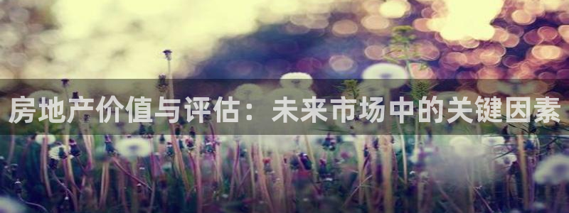 摩登7服333OO：房地产价值与评估：未来市场中的关键因素