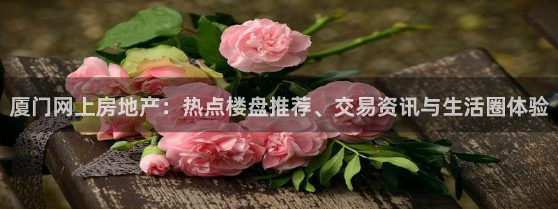 M摩登7：厦门网上房地产：热点楼盘推荐、交易资讯与生活圈体验