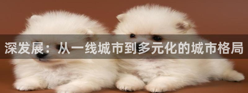 摩登6张7O667：深发展：从一线城市到多元化的城市格局