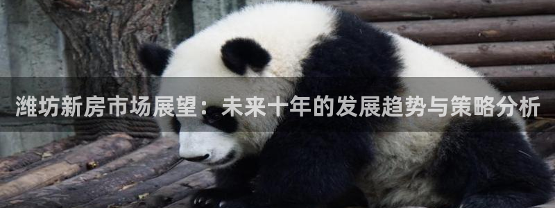 摩登6后7O667：潍坊新房市场展望：未来十年的发展趋势与策