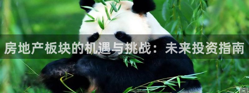 摩登5韩这7O667：房地产板块的机遇与挑战：未来投资指南