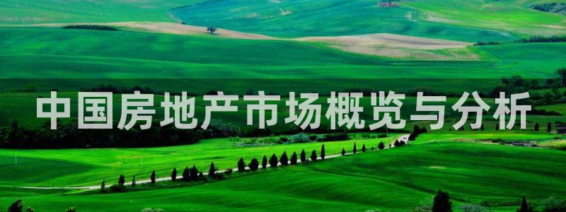 摩登7重工摩登：中国房地产市场概览与分析