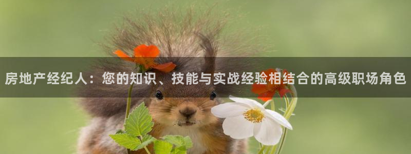 摩登7主管亲333OO：房地产经纪人：您的知识、技能与实战经