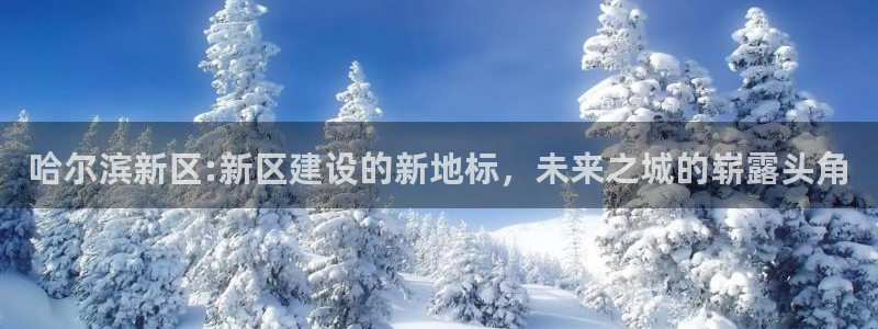 摩登7登录付333OO：哈尔滨新区:新区建设的新地标，未来之