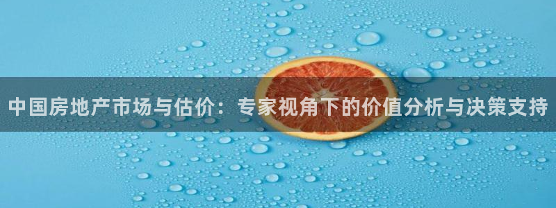 摩登4地7O667：中国房地产市场与估价：专家视角下的价值分