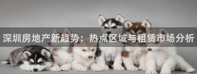摩登4下7O667：深圳房地产新趋势：热点区域与租赁市场分析
