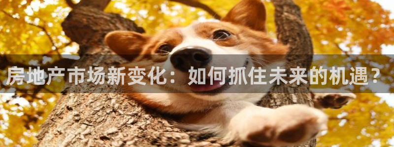 摩登招商臼金手指专业7：房地产市场新变化：如何抓住未来的机遇