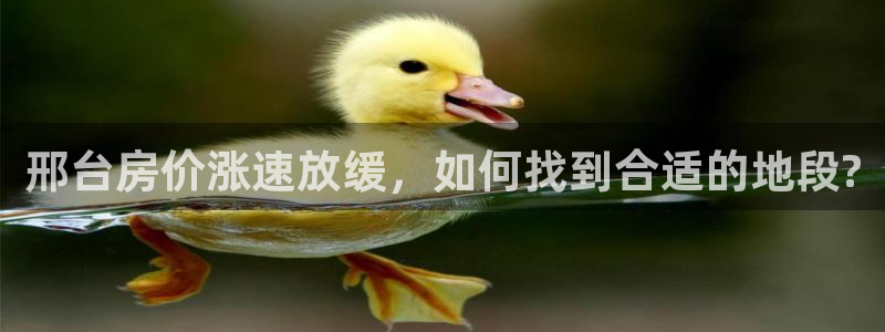 摩登7测速：邢台房价涨速放缓，如何找到合适的地段?